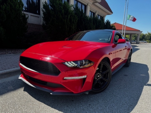 2019 Ford Mustang  	